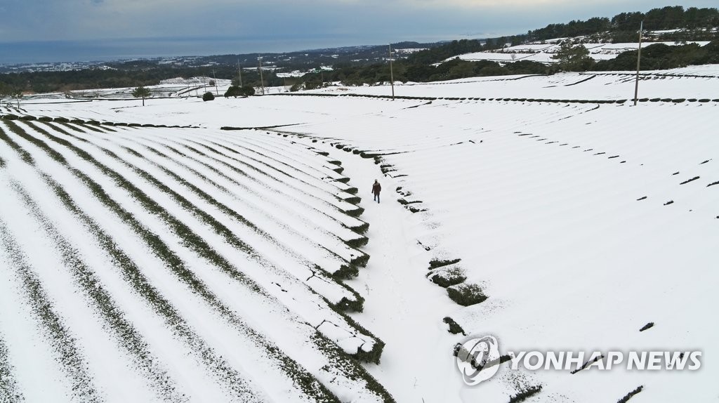 제주 산지에 3∼9㎝ 눈 예보…대설주의보 발효