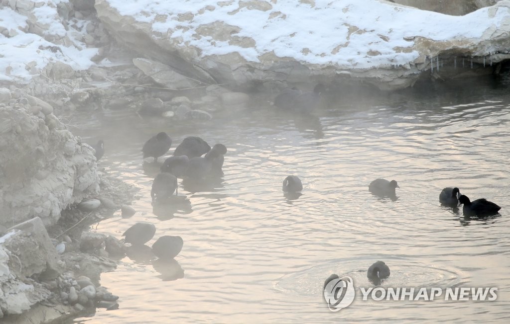 모처럼 누그러진 추위…오늘 밤∼내일 아침 안개 주의