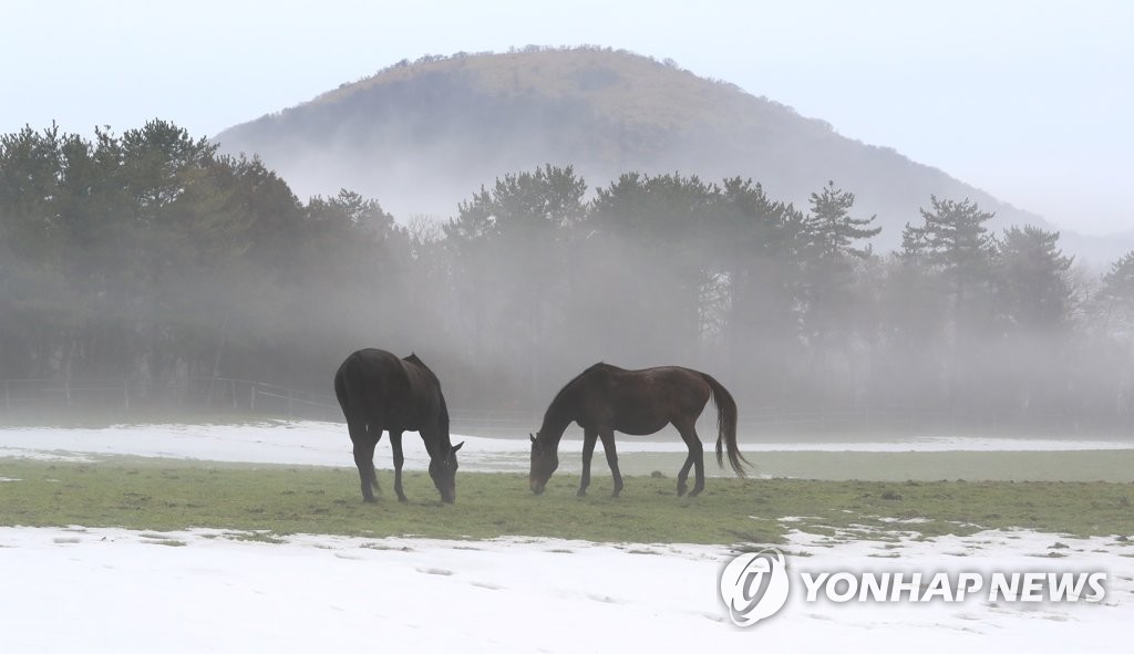 제주에 내일까지 비…예상 강수량 20∼60㎜