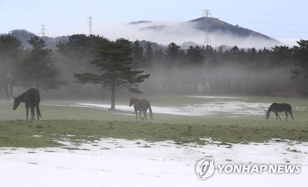 제주 강풍 동반한 비…예상 강수량 10∼40㎜