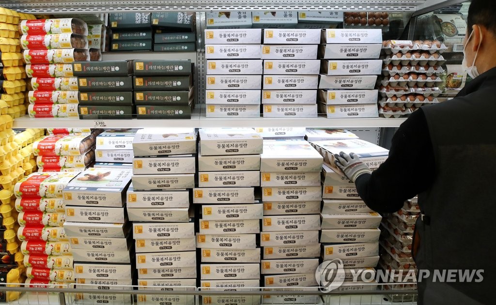 미국산 흰달걀 60t 들어온다…aT, 공매 입찰 거쳐 판매