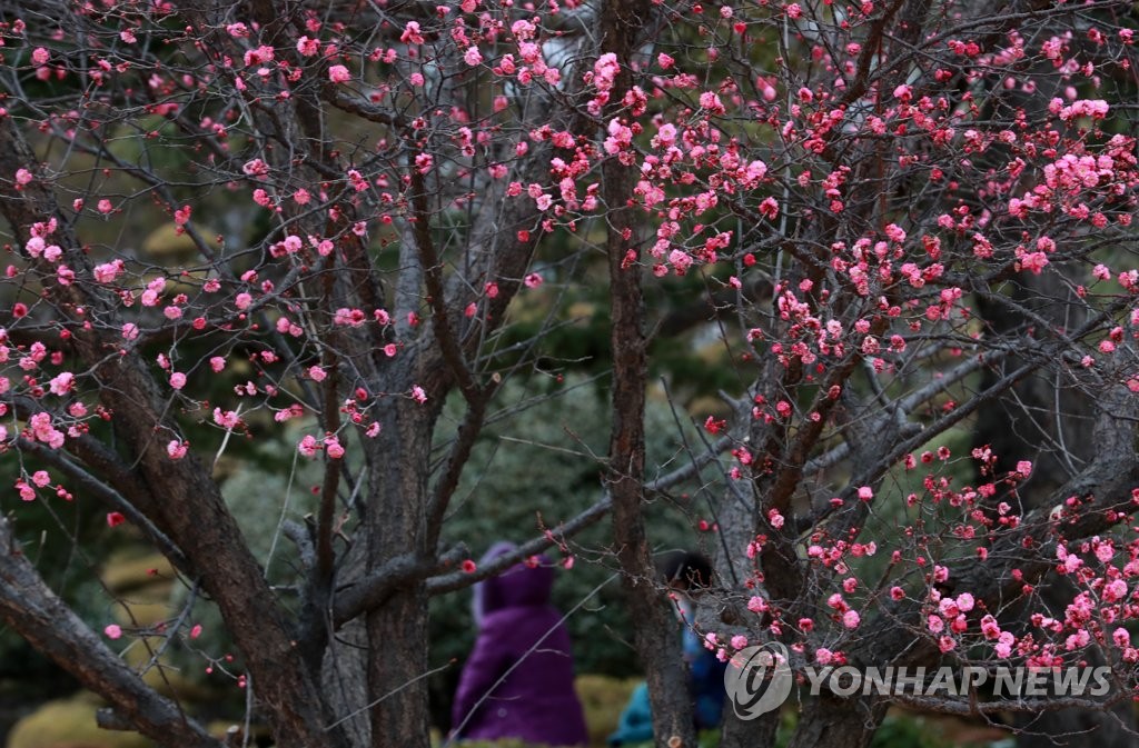 부산 포근하지만 흐린 하늘…내일 비 소식