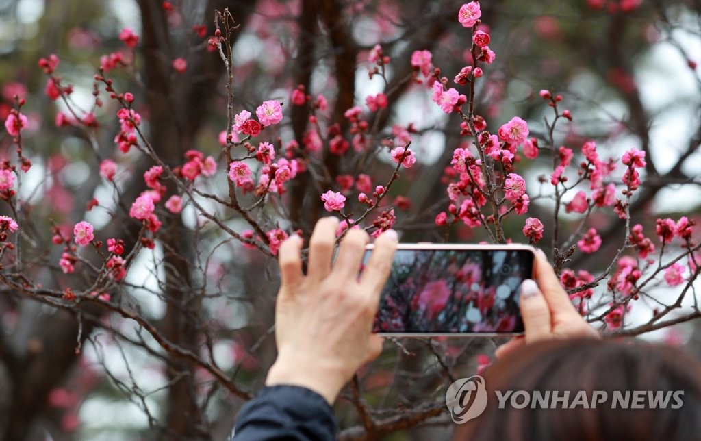 봄처럼 포근한 날씨 이어져…서울 낮 최고 13도