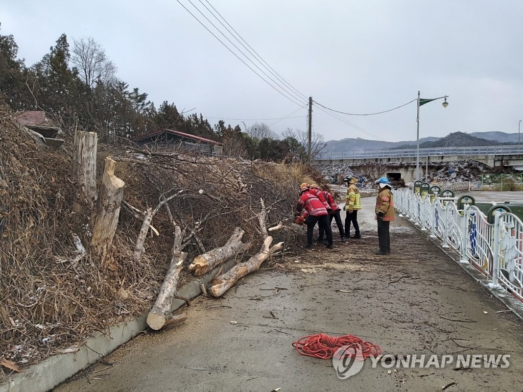 강풍에 2명 다치고 시설피해 속출…코로나검사소 2곳 운영중단(종합)