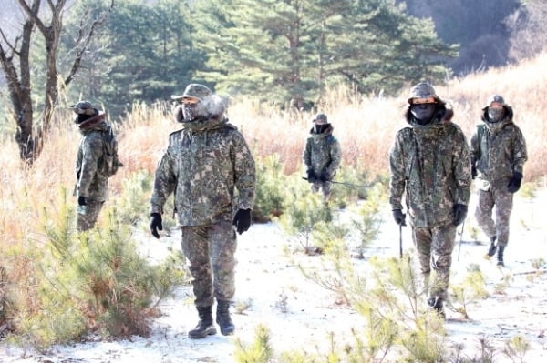 아프리카돼지열병(ASF) 감염 멧돼지 폐사체 수색에 나선 육군 8군단 특공대대 장병들이 지난 7일 양양군 서면 도리 일대 산림지역을 수색하고 있다. /사진=연합뉴스(기사와 무관)