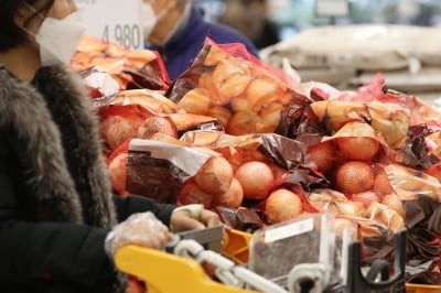 설 앞두고 어쩌나…양파·소갈비 등 먹거리 가격 '고공행진'