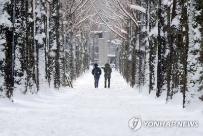 광주·전남 사흘째 눈…대설특보 모두 해제