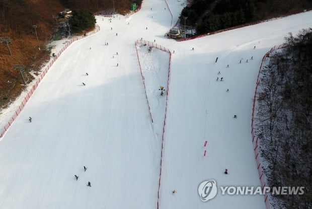 열하루 만에 운영 재개한 스키장…슬로프는 '한산'
