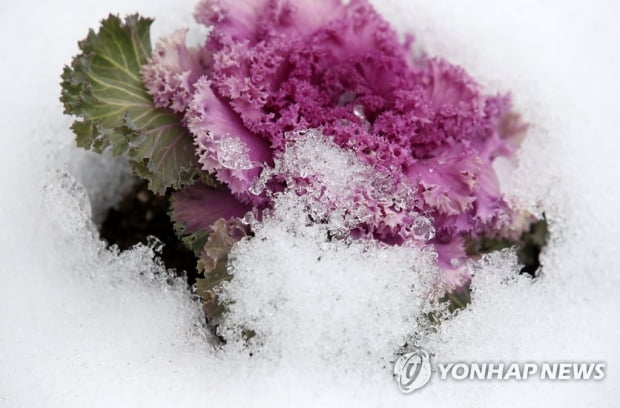 [날씨] 전국 영하권 추위…중부·남부 눈