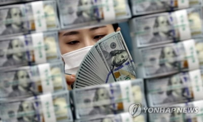 12월 외환보유액 4천431억달러…7개월 연속 사상 최대치 경신