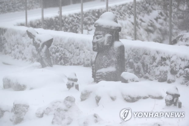 제주 산지 밤부터 대설특보…8일까지 한파