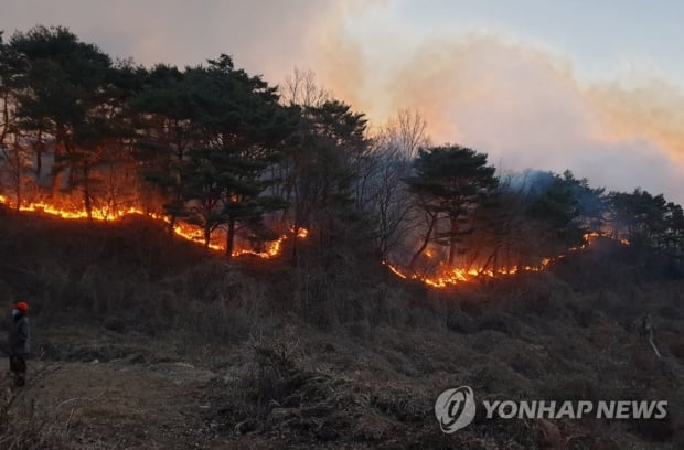 영덕 산불 10시간째 진화…면적 넓고 저수지 물 얼어 난항