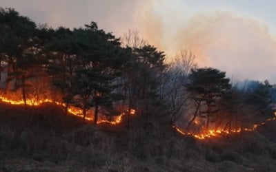 영덕 산불 10시간째 진화…면적 넓고 저수지 물 얼어 난항