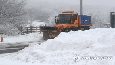 제주 57년만 한파경보…'북극 한파' 예보에 전국이 '덜덜'