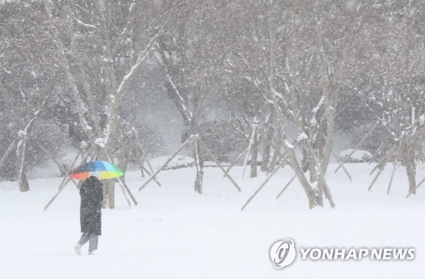 광주·전남 폭설·한파 강타…내일은 영하 19도까지 떨어져