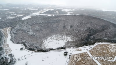 제주 온 섬이 한파로 '꽁꽁'…한라산 129.4㎝ 폭설(종합)