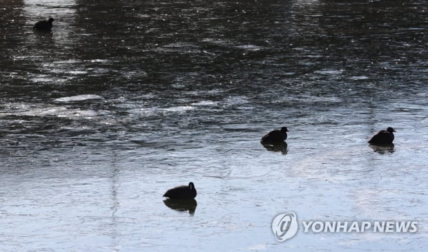 북극발 한파 절정 지났지만 당분간 강추위…서해안은 눈 계속