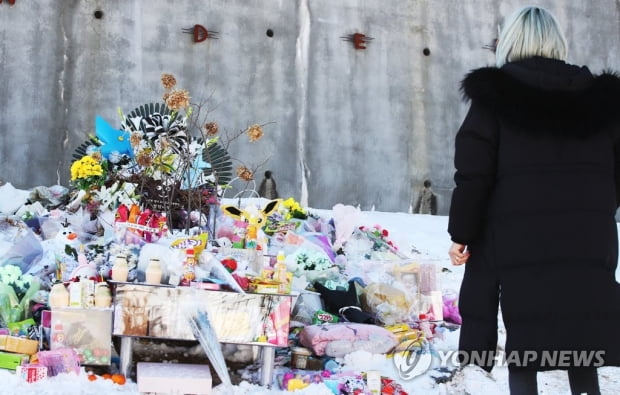 '정인이법' 본회의 통과…아동학대 신고시 즉각 조사