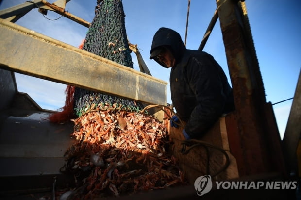 소포 운송 중단에 수산물 수출도 차질…영국-EU 국경서 혼란커져