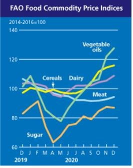 세계식량가격지수 7개월 연속 상승…올해 곡물지수 6년래 최고