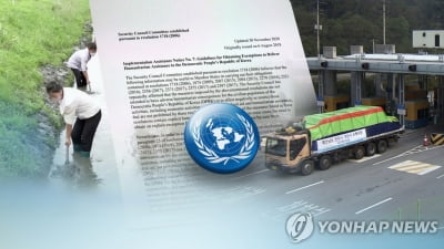 유엔 北제재위 의장국 노르웨이 "인도 지원 제재면제 절차 개선"