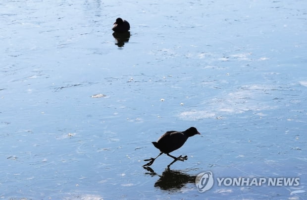 살짝 풀렸지만 아직 맹추위…오후 중부·남부 눈