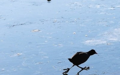 살짝 풀렸지만 아직 맹추위…오후 중부·남부 눈