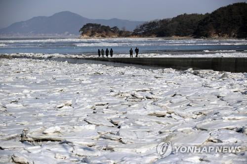 '코로나19에 북극 한파까지'…전국 주요 관광지 썰렁