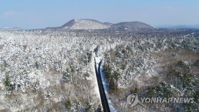 제주 대체로 맑고 포근한 날씨…미세먼지 '나쁨'