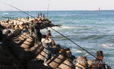 목숨 위협하는 방파제·테트라포드 낚시…사고 비율 증가