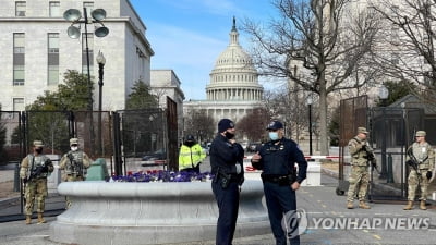 미 연방의사당 인근서 권총·실탄 수백발 소지 남성 체포