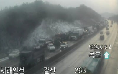 '눈길에 꽝·꽝'  서해안고속도로서 35중 추돌…8명 부상