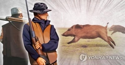 잡아도 잡아도 우글우글…삼척시 3년간 멧돼지 4천여 마리 포획