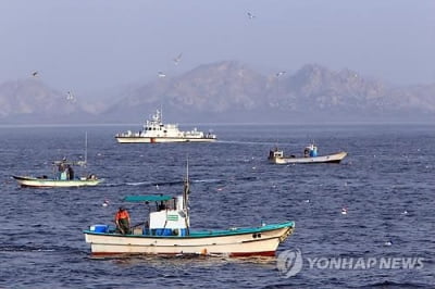 지난해 동해 최북단 저도어장 어획량·어획고 감소