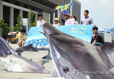 검찰, '고래고기 환부사건' 피고발 검사·변호사 무혐의 종결