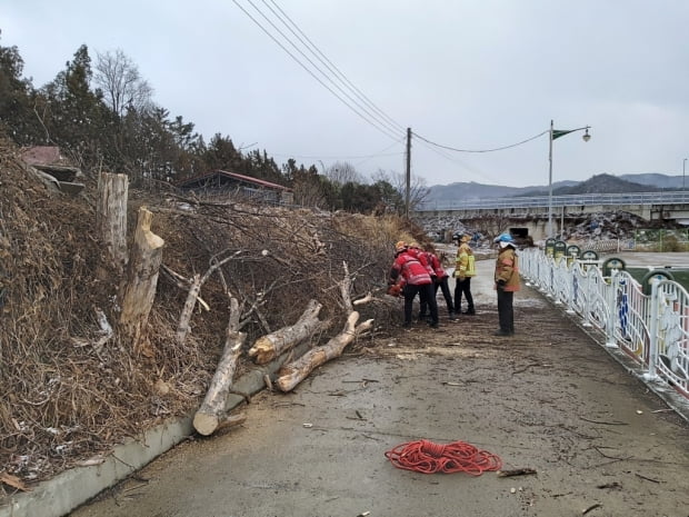 '지붕 널브러지고, 간판 날아가고'…충북 곳곳 강풍 피해