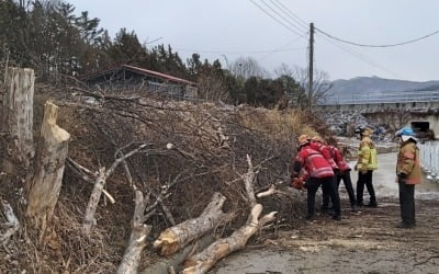 '지붕 널브러지고, 간판 날아가고'…충북 곳곳 강풍 피해