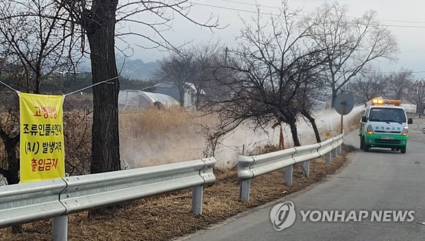 지난 한주 야생조류 고병원성 AI 23건 추가 확진…누적 117건