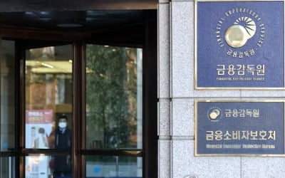 금감원 공공기관 지정 유보…"상위직급 추가 감축 등 조건"