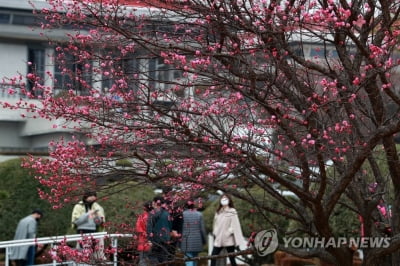 부산 흐린 날씨 속 포근…최고 11도