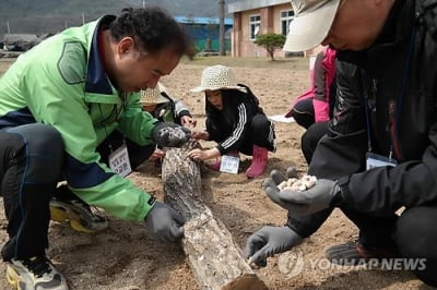 "귀농·귀촌 돕는다"…영동군 지원센터 설치 추진