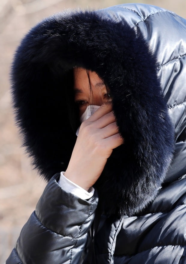 Sorry Jung In-ah, Lee Young-ae also visited the graveyard with the children to join the memorial