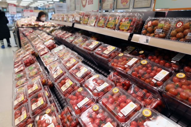 방울 토마토 가격이 2 개월 만에 67 % 오른다 … 지금 양배추와 마늘을 사면