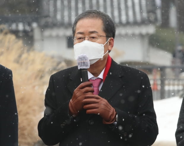 홍준표 무소속 의원이 지난 12일 서울 종로구 청와대 사랑채 앞에서 열린 '폭정종식 비상시국연대' 기자회견에서 발언을 하고 있다. /사진=뉴스1