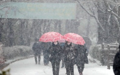 서울 동남권·경기 하남 등 대설주의보…중대본, 대처 2단계로 격상