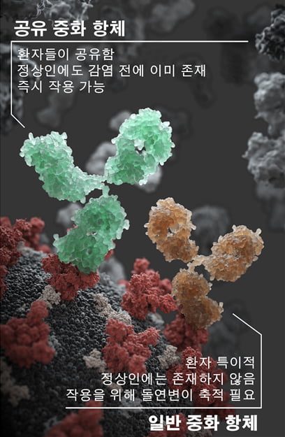 서울대, 코로나 중화항체 빠르게 만들어지는 이유 찾았다