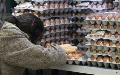 "金값 된 계란값 잡자"…정부, 2월까지 4400만개 긴급 수입