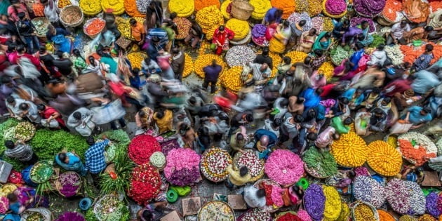 '인생의 색깔' 부문 우승자 - 피터 왈슬리, 영국 / Bangalore, India(인도 뱅갈로르), 인도의 바쁜 시장 풍경. 작가는 이곳에서 파는 꽃과 향신료가 내뿜는 색감 때문에 혼란스러움을 느꼈다고 당시를 회상했다.