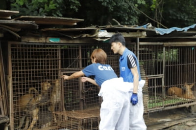 개들 보는 앞에서 잔인한 도살 반복한 60대 농장주 입건