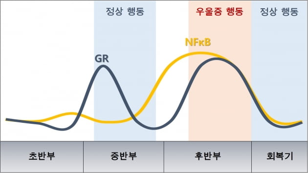 염증 생기면 우울한 이유는 뭘까…국내 연구진이 밝혀냈다